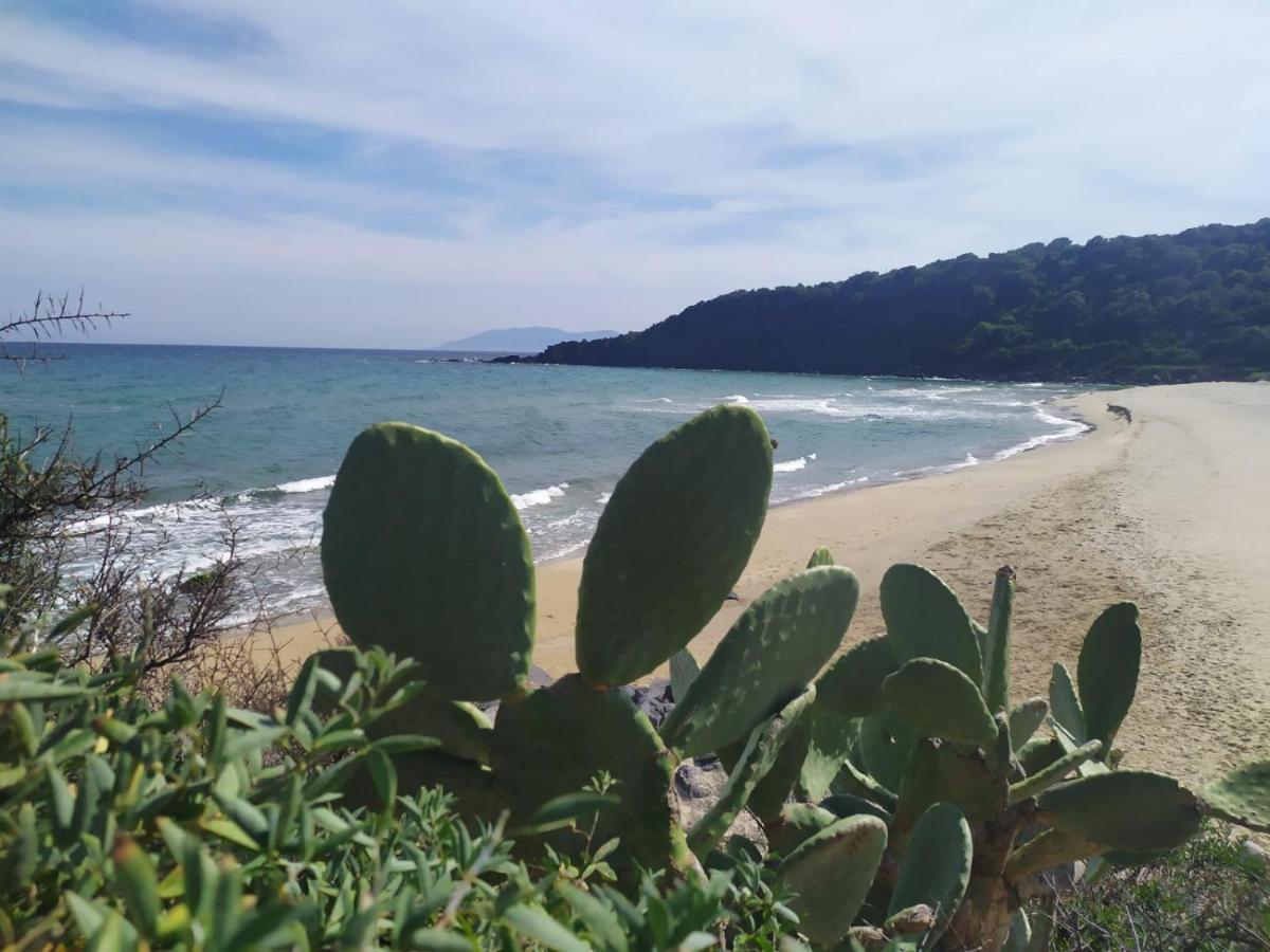 Appartamento A 50 Mt Dal Mare Кала-Гононе Екстер'єр фото